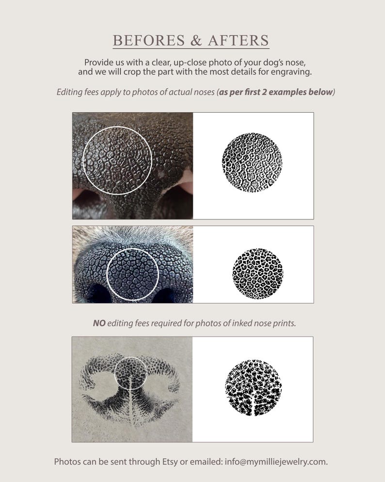 Colar com pingente personalizado com impressão nasal: Colar memorial para animais de estimação, pingente maior imagem 6