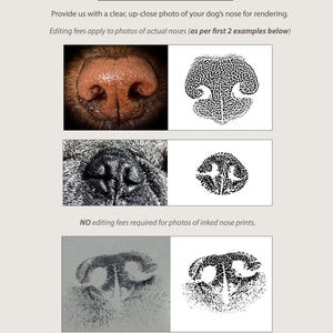 Actual Dog Paw Print Necklace: Custom Nose Print, Pet Memorial Jewelry image 6