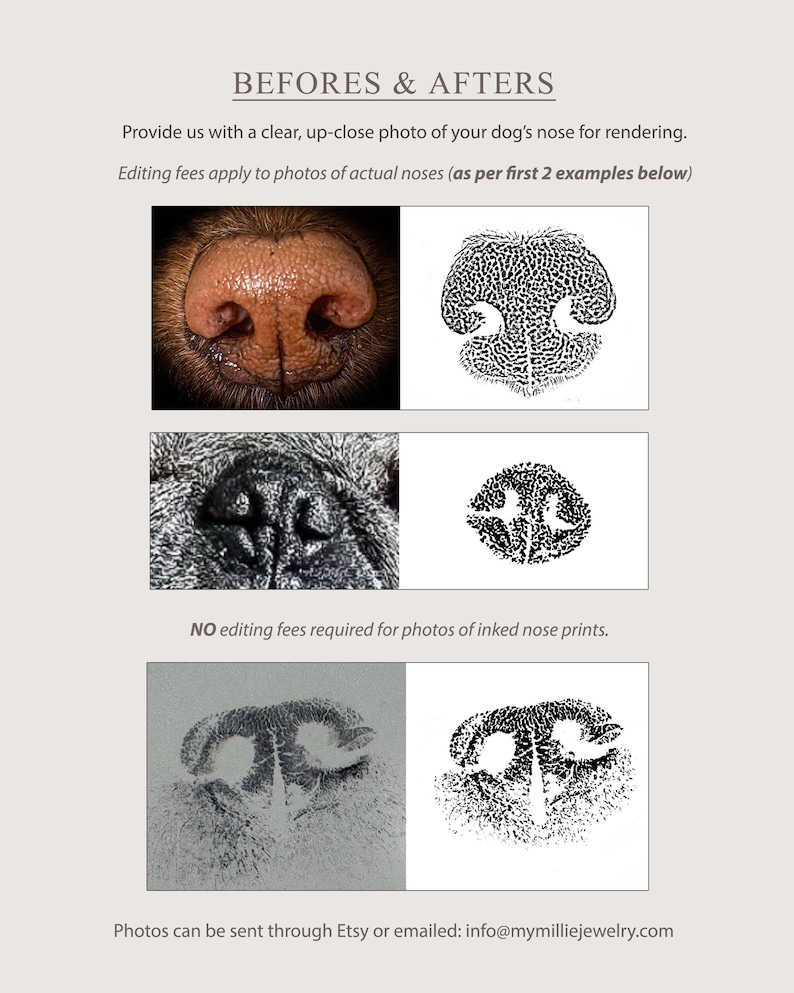 Actual Dog Paw Print Necklace: Custom Nose Print, Pet Memorial Jewelry image 6