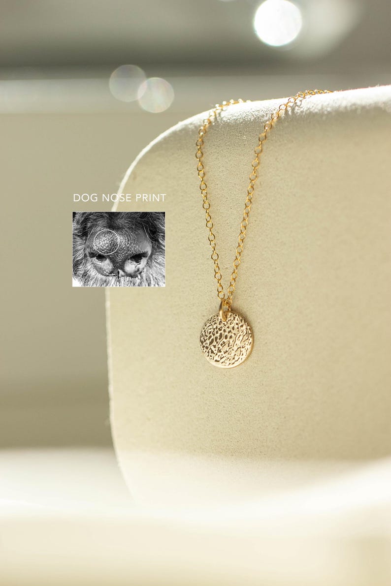 Pode incluir: Um delicado colar dourado com um pendente circular texturizado. A corrente &eacute; fina e o pendente tem um padr&atilde;o org&acirc;nico detalhado. Uma pequena imagem a preto e branco com o texto "DOG NOSE PRINT" est&aacute; no fundo.