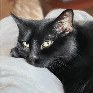 Cat Portrait Painting, Custom Cat Portrait, Pet Painting Custom, Dog Painting, Cat Oil Painting, Pet Painting From Photo,Custom Dog Painting