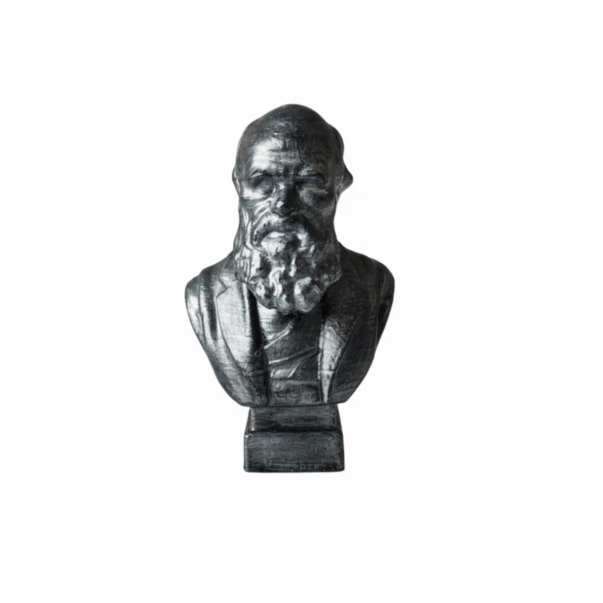 Charles Darwin Bust | Evolution Decor with Galapagos Tortoises