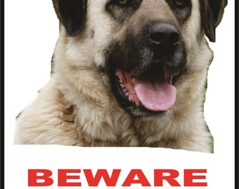 Kangal Dog For Sale In Pakistan