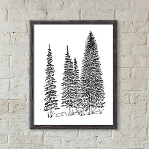 Four Pines Nature Scene Art Print,  11x14 in