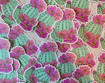 Pink Flowering Cactus Sticker: Botanical desert cactus sticker. Waterproof Vinyl Sticker, for laptops, phones, water bottles or journals.