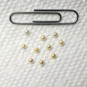 May include: A white paper surface with a silver paper clip and eleven white pearls scattered around it.
