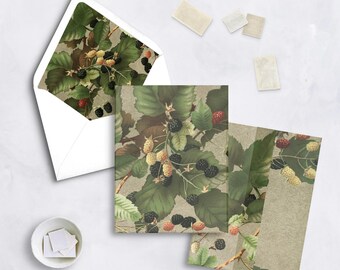 May include: Stationery set featuring a botanical design of blackberries and leaves. The set includes an envelope, notecards, and stamps. The design showcases green leaves, black, yellow, and red berries against a neutral background.