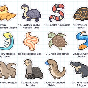 May include: A set of 24 illustrated stickers featuring various reptiles and amphibians, including a bearded dragon, a snake-necked turtle, a kingsnake, a box turtle, a gecko, a boa constrictor, a sea turtle, a coral snake, a komodo dragon, a tortoise, a blue-tongued skink, and an alligator. Each sticker has a number and a name for the animal.