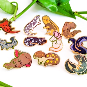 May include: A collection of eleven colorful enamel pins featuring various salamander and axolotl designs. Each pin has a gold-toned metal outline and depicts a different creature in unique color patterns, including red, purple, brown, pink, and green.