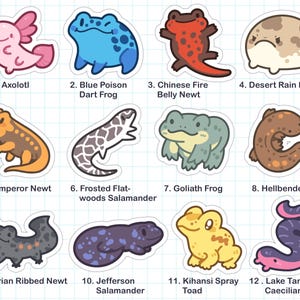 Mini Amphibian Vinyl Stickers