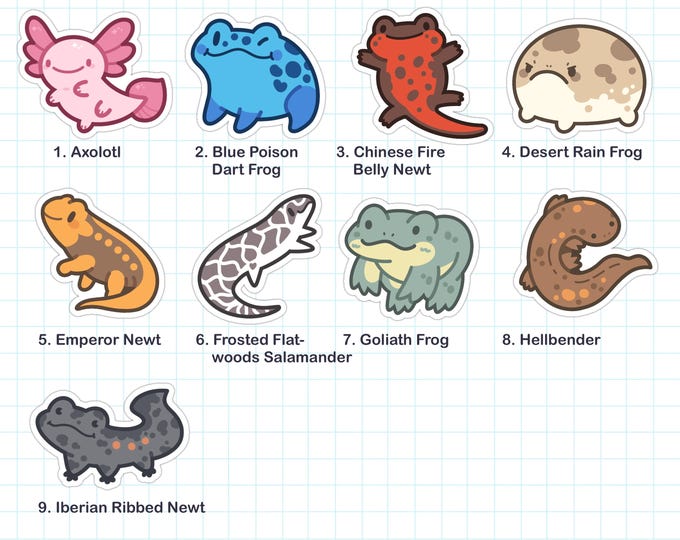Mini Amphibian Vinyl Stickers Etsy New Zealand