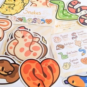 Puede incluir: Un conjunto de ocho pegatinas de serpientes coloridas que representan varias especies, incluyendo serpiente de nariz de cerdo, pitón bola y serpiente del maíz. Incluye una tarjeta de referencia con texto identificativo y el título Snakes Sticker pack.