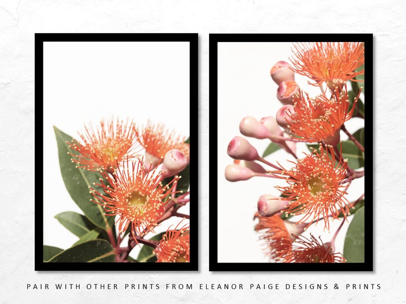 Australian Wall Art Print Branch Wall Art Photography Etsy Australia