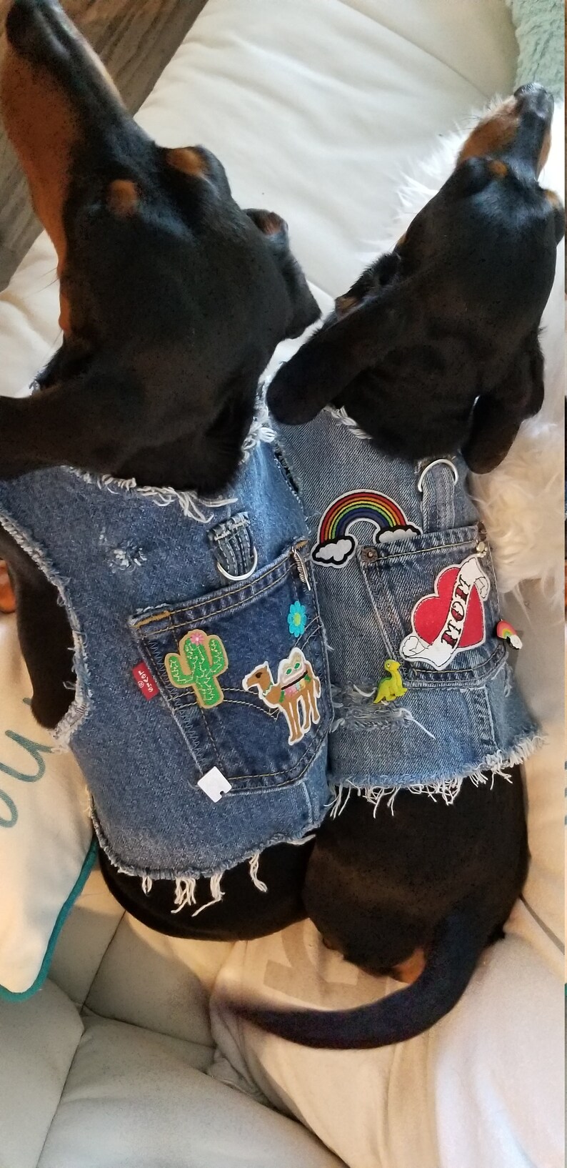 Custom Denim Dog Harness Vests/jackets dogs XSM Etsy
