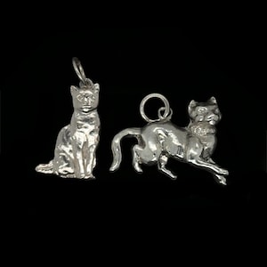 Cat Charms - Cat Walking & Cat Sitting, Silver