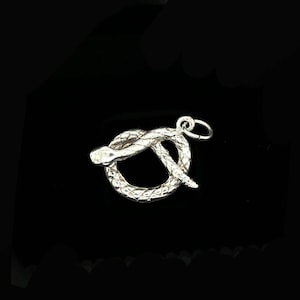   Schlange Sterling Silber Charm