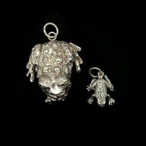 May include: Two silver frog pendants. The larger frog pendant has a textured surface with a loop at the top. The smaller frog pendant has a similar textured surface and a loop at the top. Both pendants are set against a black background.