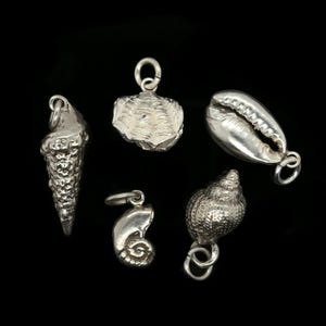 Sea Shell Charm Variety, Silver Shell (Cowrie, Cone, Etc.) Charms - Handmade