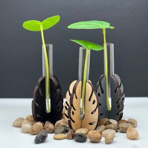 mosstok monstera Monstera Deliciosa XL 120 cm – Tropical indoor plant with Torun basket Ø24  cm main image 1