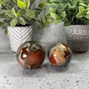 Può includere: Due sfere di pietra lucida con una miscela di colori marrone, grigio e crema. Le sfere sono esposte su una superficie grigia, con piante in vaso sullo sfondo.