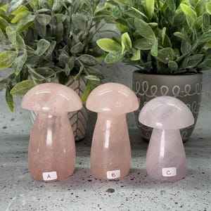 You Pick / Rose Quartz Mushroom / Crystal Mushroom