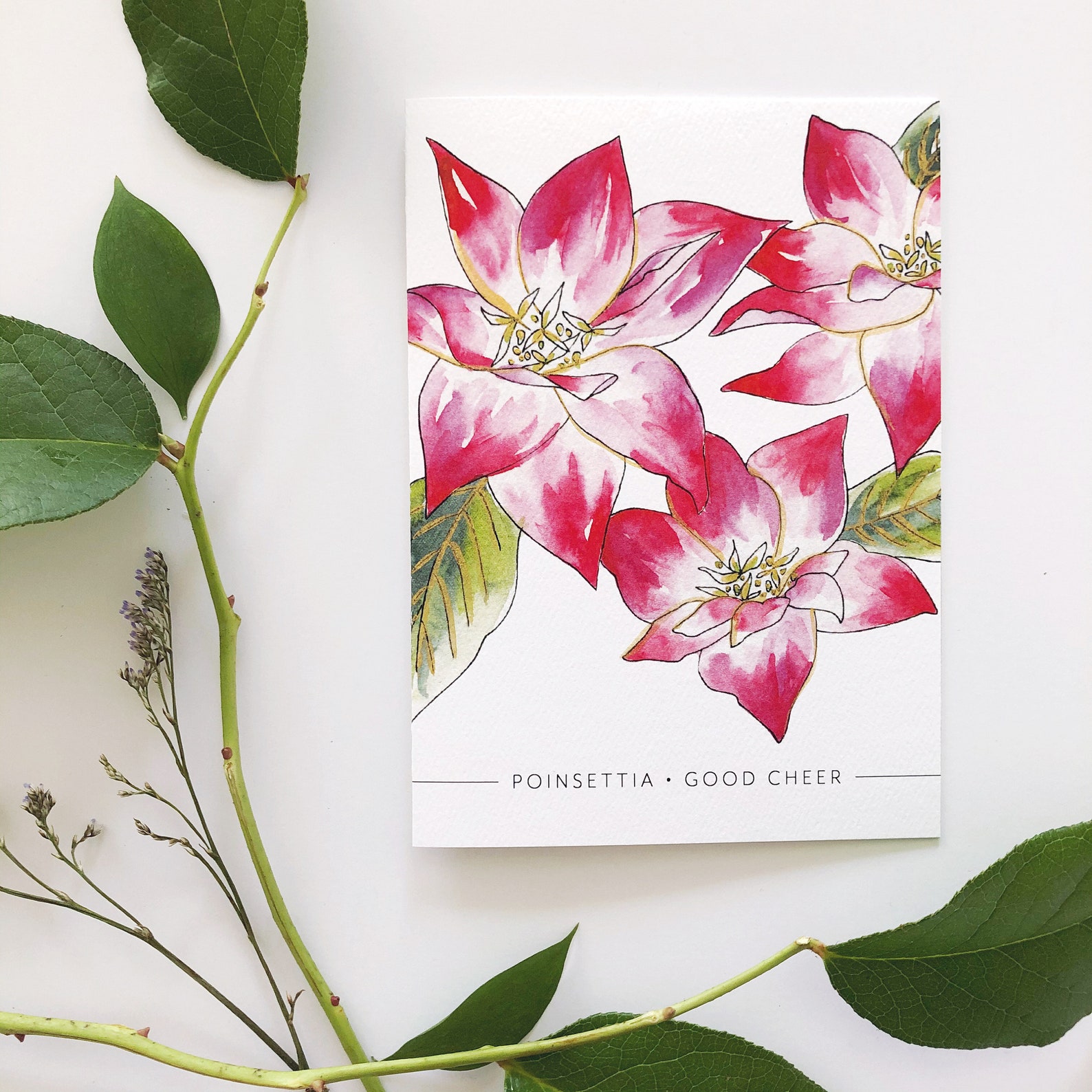 December Birth Flower Card December Birthday Flower Birth Etsy