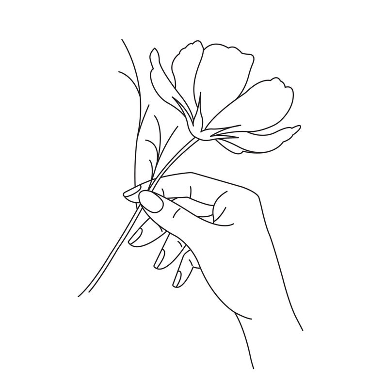 Line Art Hands Flower Hand Drawing Modern Minimal Line Art Etsy