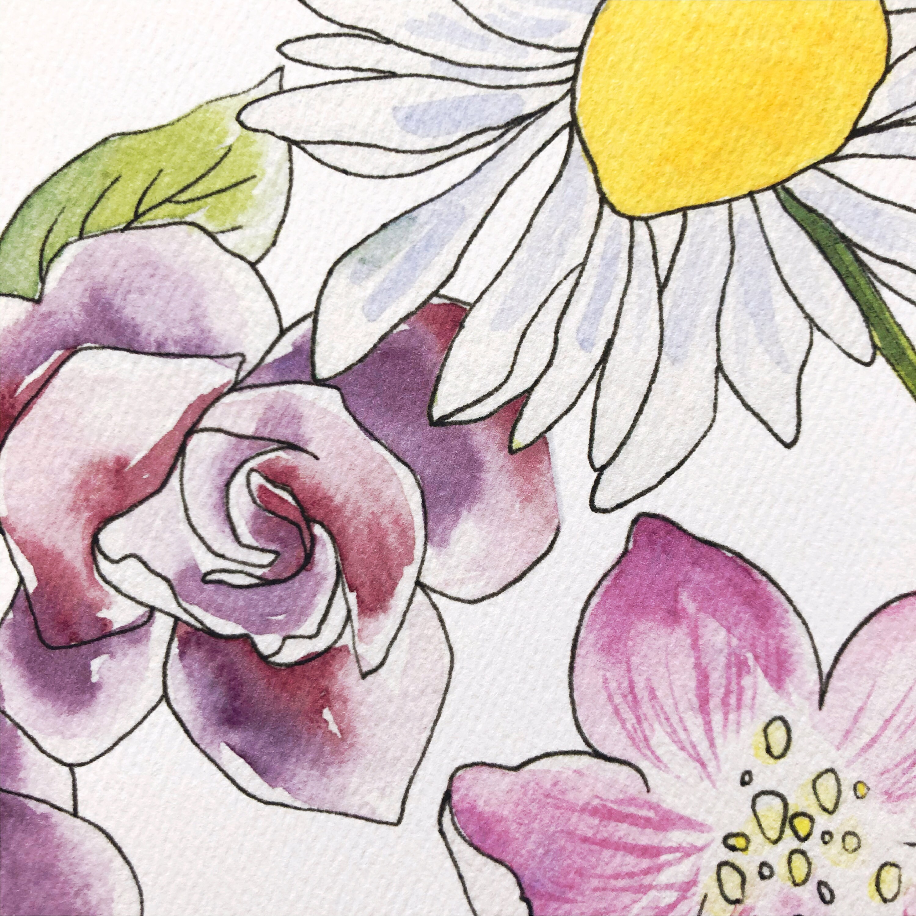 Birth Month Flowers Download Birth Flowers Digital Download | Etsy