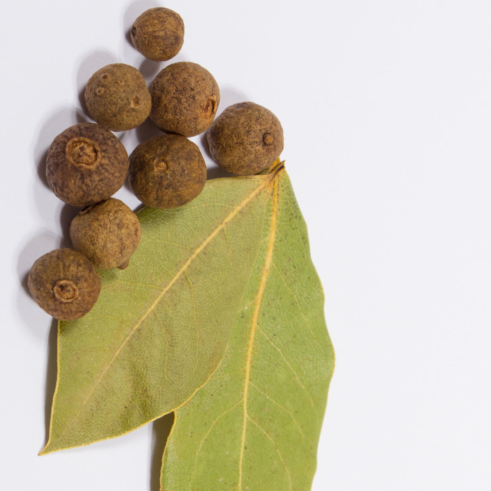 Pimento Leaf Pimenta Pimento Berry of Pimenta Dioica Etsy UK