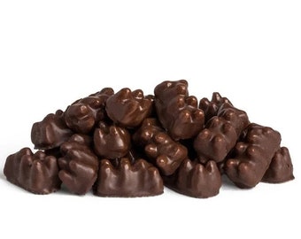 Dark Chocolate Gummy Bears - Fruit-Flavored Gummy Bears -  Sweet Gummy Bears