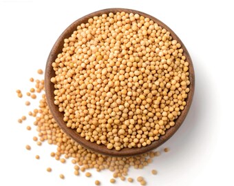 Yellow Mustard Seeds - (Sarso Whole)