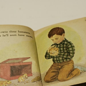 1969 Pet Parade A Counting Book Vintage Retro Childrens Kids Toddlers Books Randy McNally Elf 1960s bild 4