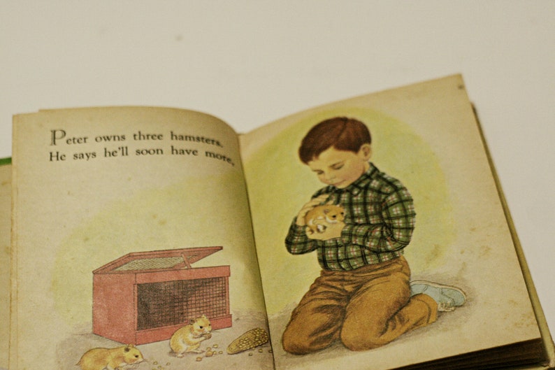 1969 Pet Parade A Counting Book Vintage Retro Childrens Kids Toddlers Books Randy McNally Elf 1960s bild 4