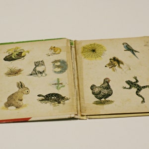 1969 Pet Parade A Counting Book Vintage Retro Childrens Kids Toddlers Books Randy McNally Elf 1960s bild 2