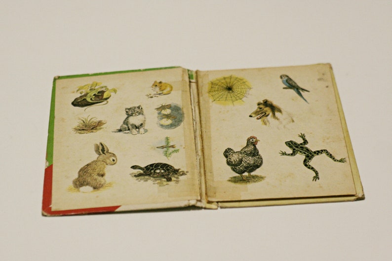 1969 Pet Parade A Counting Book Vintage Retro Childrens Kids Toddlers Books Randy McNally Elf 1960s bild 2