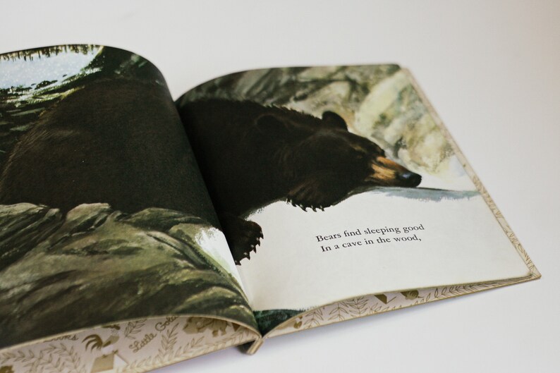 Op de afbeelding: Een open boek met een bruine beer die in een grot slaapt. De tekst op de pagina luidt "Beren vinden slapen goed in een grot in het bos."