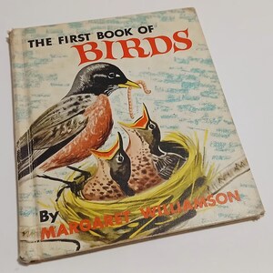 1950s The First Book of Birds by Margaret Williamson Hardcover Vintage Retro Book Children&#39;s Animal Books