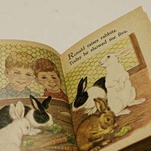 1969 Pet Parade A Counting Book Vintage Retro Childrens Kids Toddlers Books Randy McNally Elf 1960s bild 5