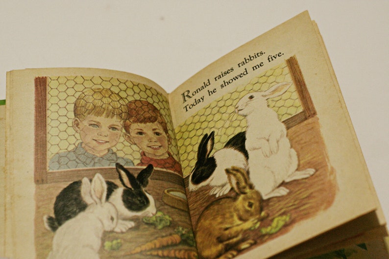 1969 Pet Parade A Counting Book Vintage Retro Childrens Kids Toddlers Books Randy McNally Elf 1960s bild 5