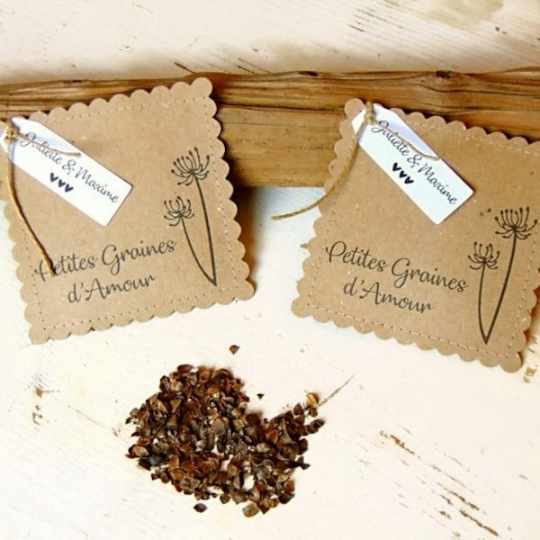 Kraft seed bags // Country wedding guest gift // Country wedding decoration in kraft