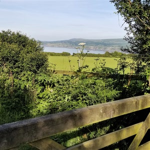 Pembrokeshire Farm Overlooking Fishguard Harbour, Wales - Photograph