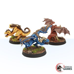 Dragon Whelp Fantasy Miniatures Baby Dragon, Dungeons and Dragons Mini RPG Tabletop Miniature,Baby Dragon set 3 Miniature Beast for Tabletop
