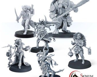 O Novo Lendão, Conjunto de Miniaturas de Aventureiro, Miniaturas Impressas em 3D na Escala de 32 mm, para Jogos de RPG de Mesa, D&D, Dungeons and Dragons
