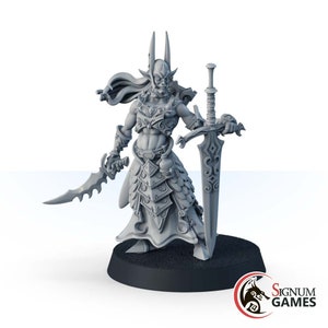 Baydren, Knight of House of Erdeine Fantasy Miniatures, Dark Elf Rogue Miniatures Assassin Mini Dungeons and Dragons Tabletop Gift