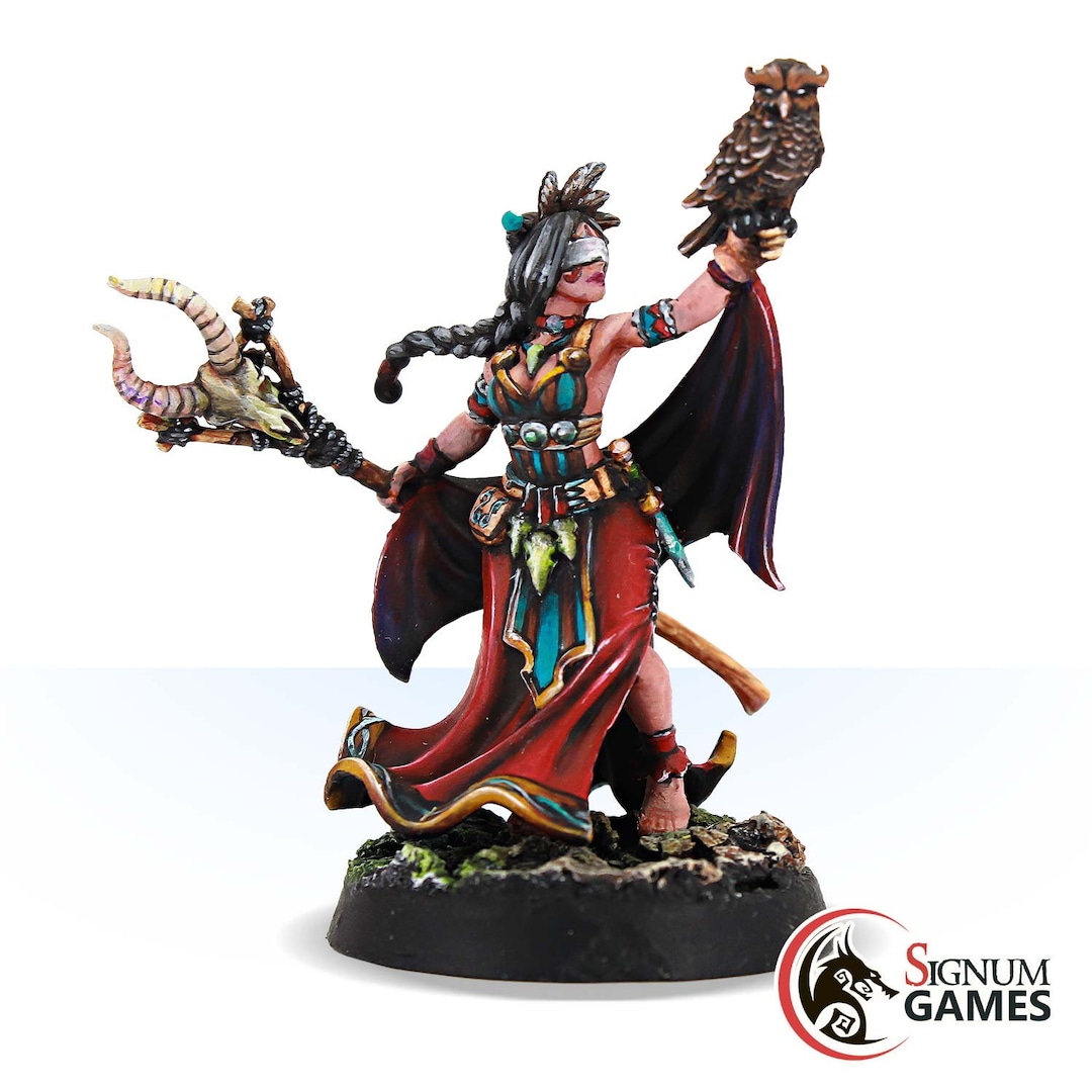【Duru様用】WITCHBLOOD / Sorceress Of The Raging Heroes Dark Elves Sankuri, Arch Sorceress Dark Eldar