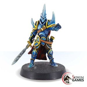 Paladin guerrier chevalier Dayodor le mentor de l&#39;ordre, miniature fantastique, RPG non peint de table, donjons personnalisés et Dragons miniature