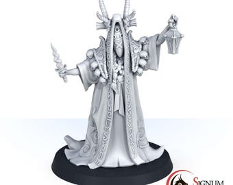 Sorcerer Morag the Head of the Coven DND miniature, 3D printed mage figure, Dungeons & Dragons wizard character, TTRPG warlock mini