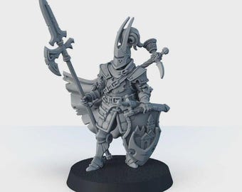 Warrior TTRPG Lancer of Vallor Panzer Infantry DND miniature, fantasy fighter 3D printe character, 28mm 32mm scale warlord mini