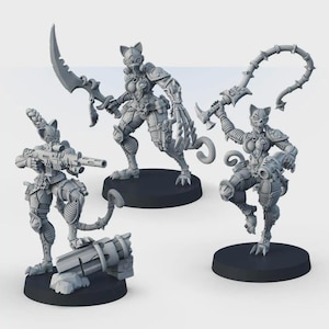 Assassins of the Inquisition Grimdark 3D printed wargame miniature, science fiction warriors characters set, Skimrish ccifi figures kit