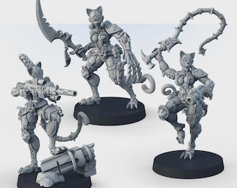 Assassins of the Inquisition Grimdark 3D printed wargame miniature, science fiction warriors characters set, Skimrish ccifi figures kit
